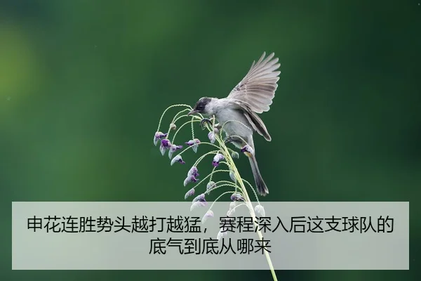 shen-hua-lian-sheng-shi-tou-yue-da-yue-meng-sai-cheng-shen-ru-hou-zhe-zhi-qiu-dui-de-di-qi-dao-di-cong-na-lai-3-655.jpg